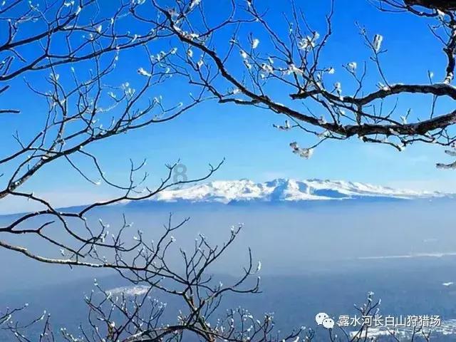 轩辕剑4